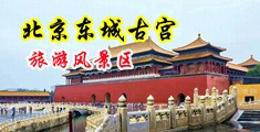 美女爆操内射中国北京-东城古宫旅游风景区